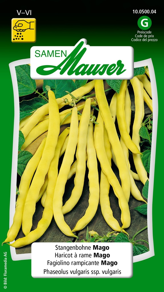 Haricot à rames Mago