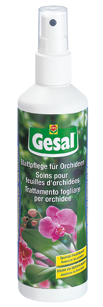 Soins pour feuilles d'orchidees