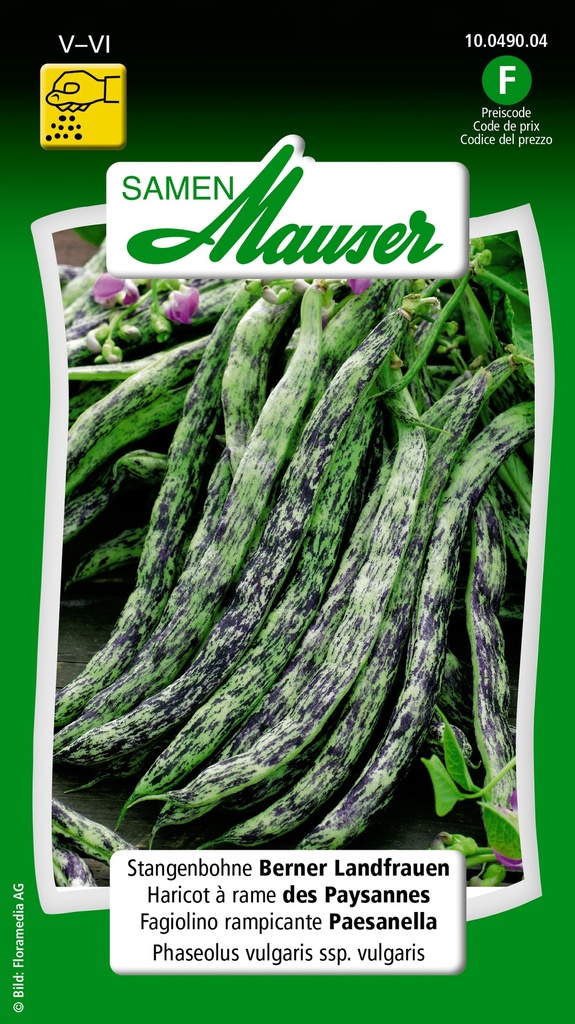 Haricot à rames Paysanne