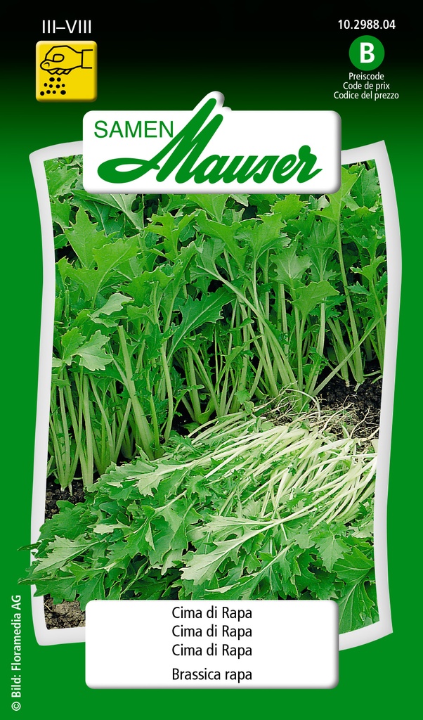 Cima di rapa