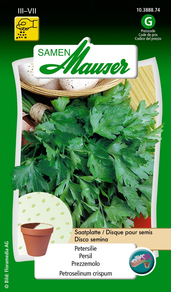 Disque pour semis Persil