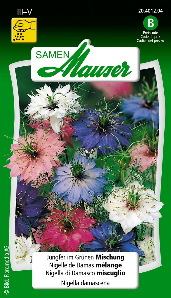 Nigelle damas melange