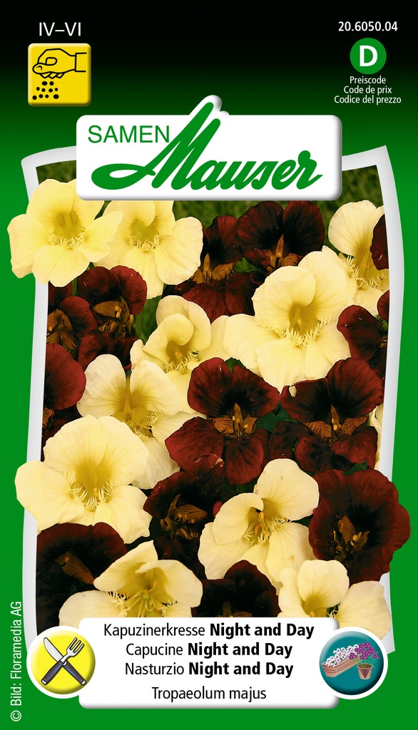 Capucine  nigh and DAY