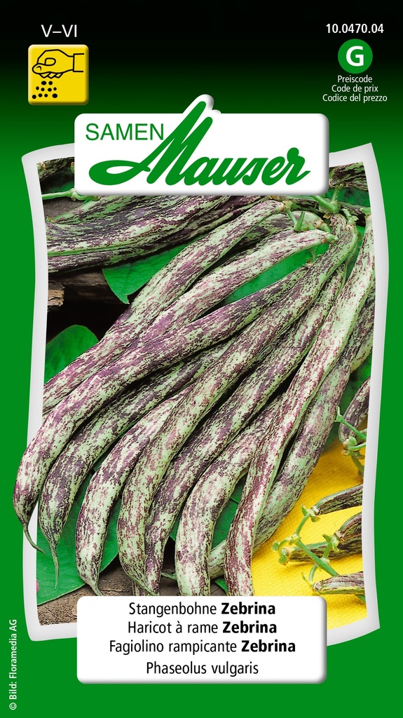 Haricot à rames Zebrina