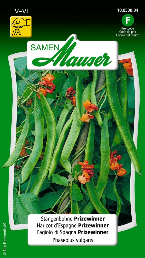 Haricot d'Espagne rouge
