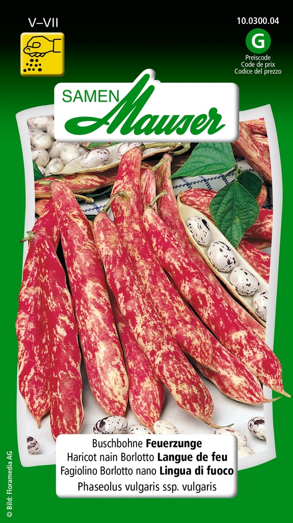 Haricot nain langue de feu Borlotti