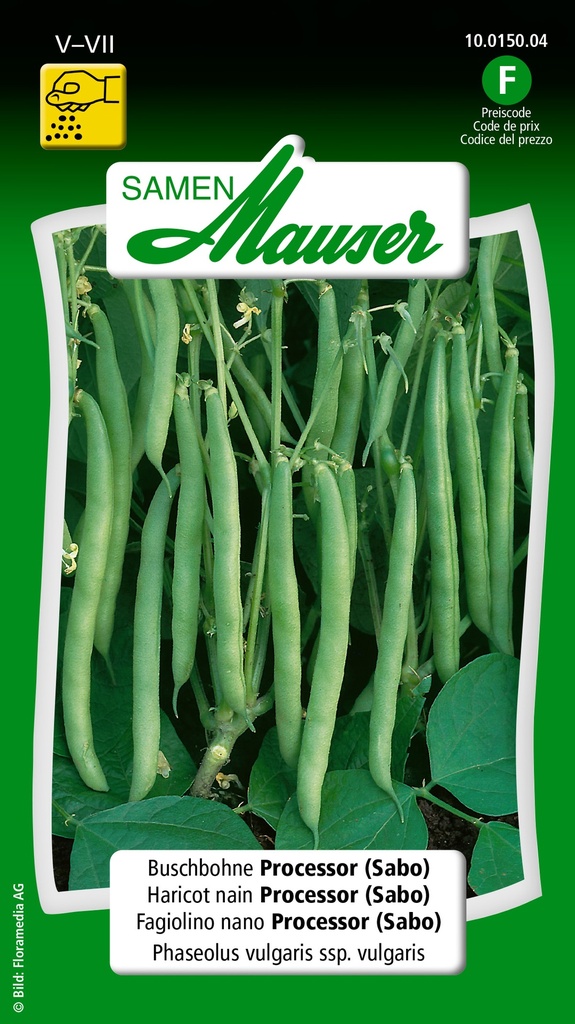 Haricot nain Sabo/processor