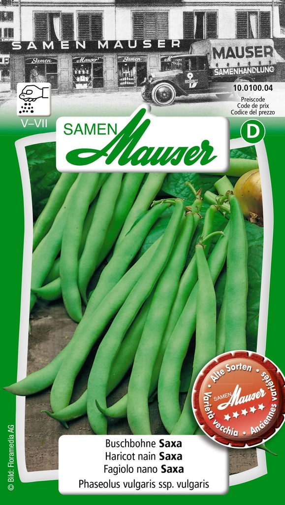 Haricot nain Saxa