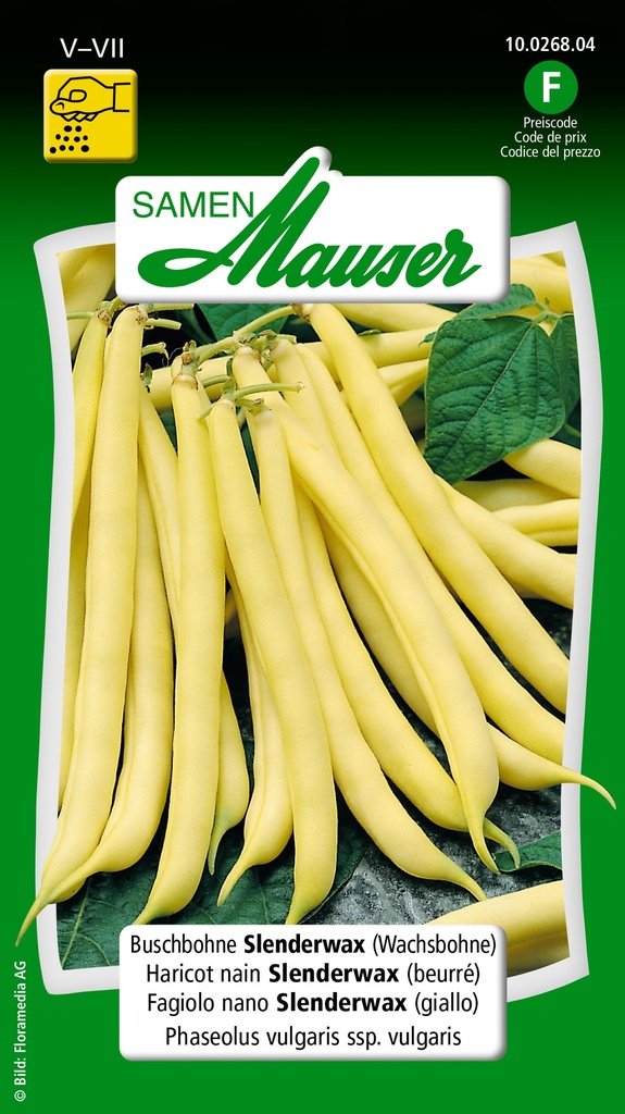 Haricot nain Slenderwax