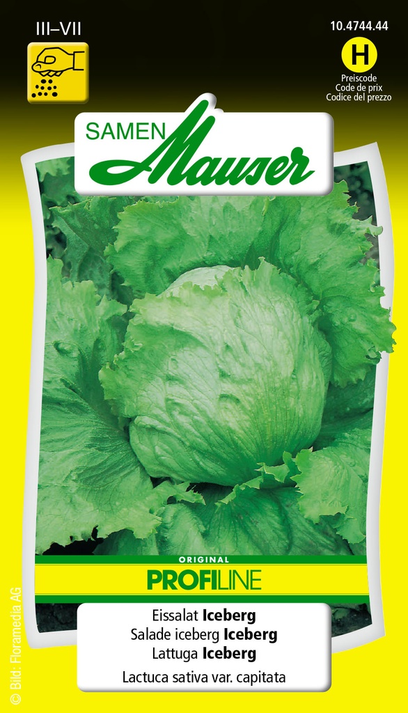 Iceberg Selma-iceberg