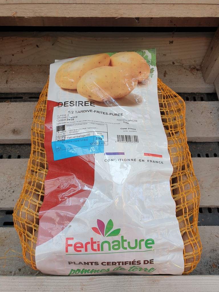 DESIREE  F/H   28/35 3KG