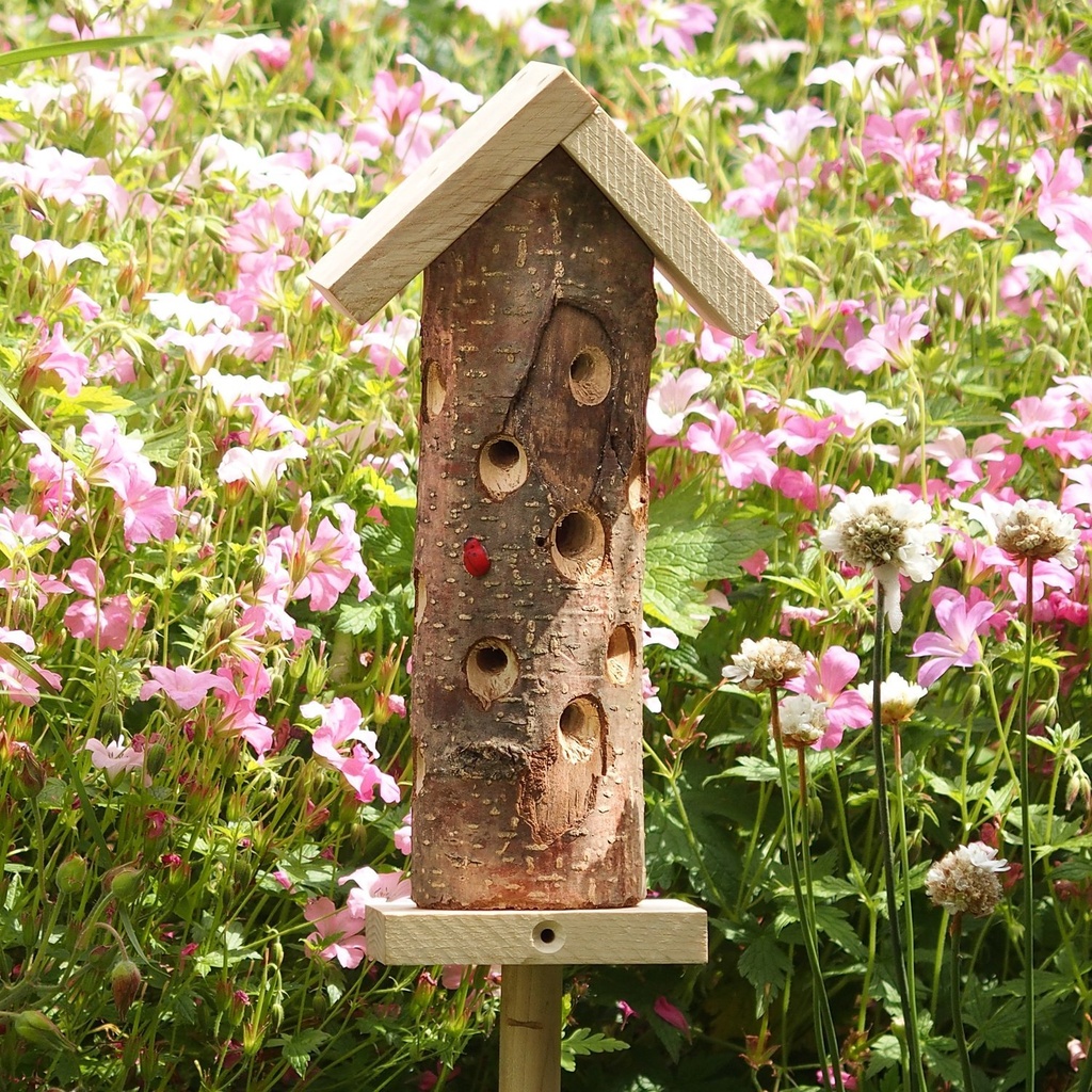 Tour à Coccinelle