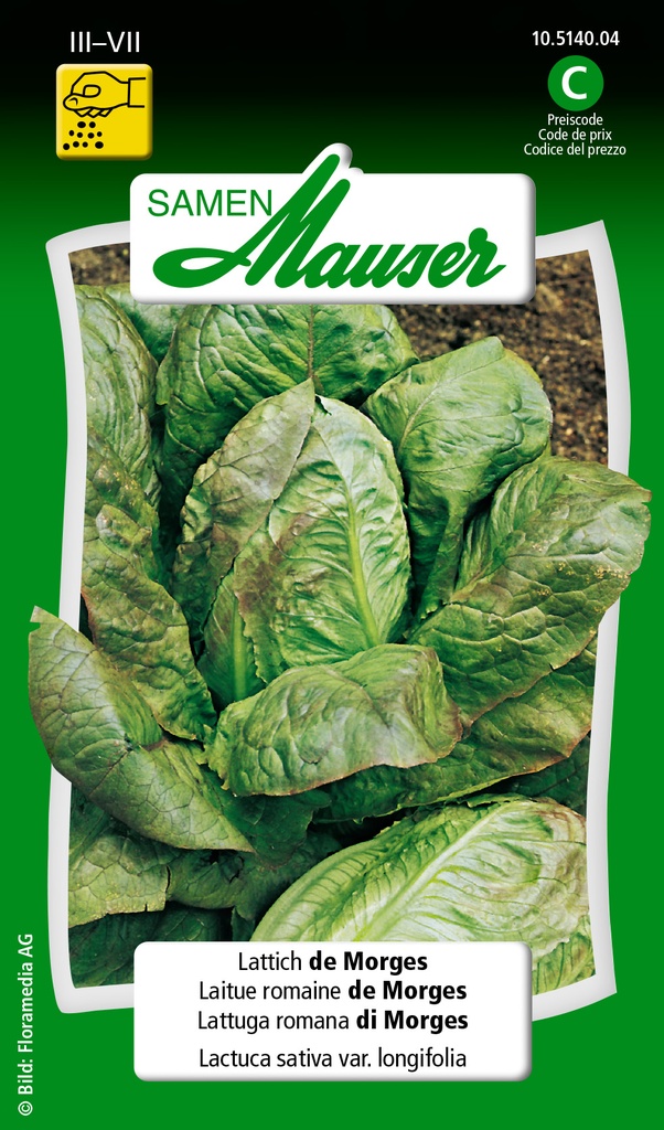 Laitue romaine de Morges