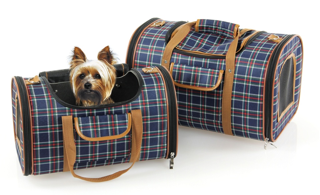 Sac de transport Bristol. small