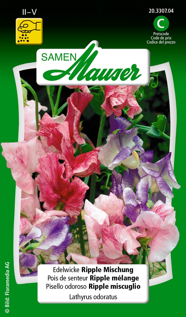 Pois de senteur Ripple mélange