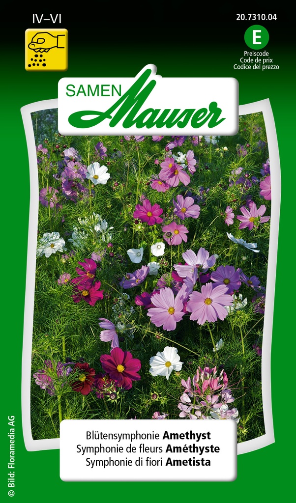 Symphonie de fleurs Améthyste