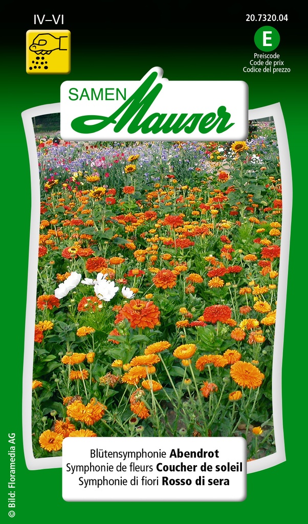 Symphonie fleurs Coucher soleil