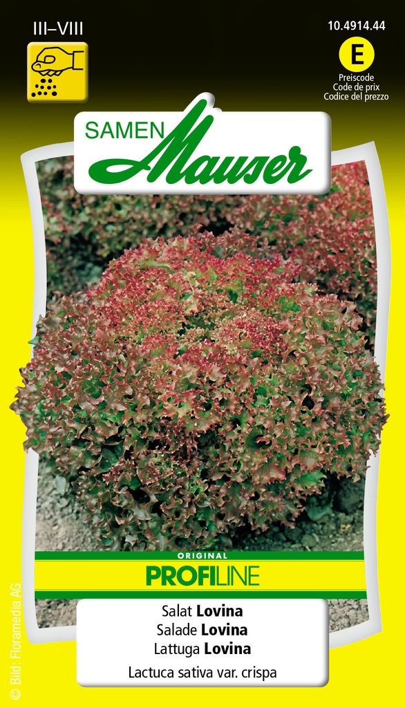 Lollo rossa Selma-Lovina