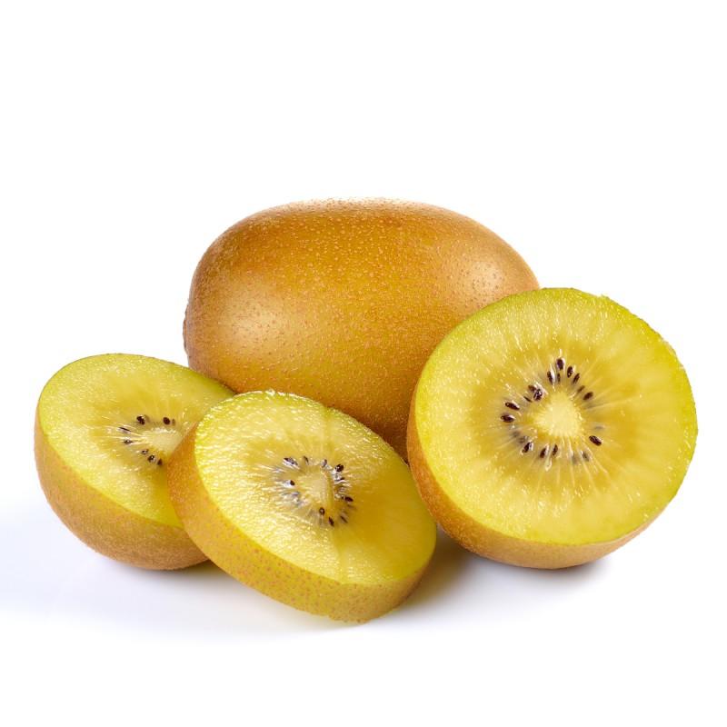 Actinidia deliciosa 'Kiwigold'