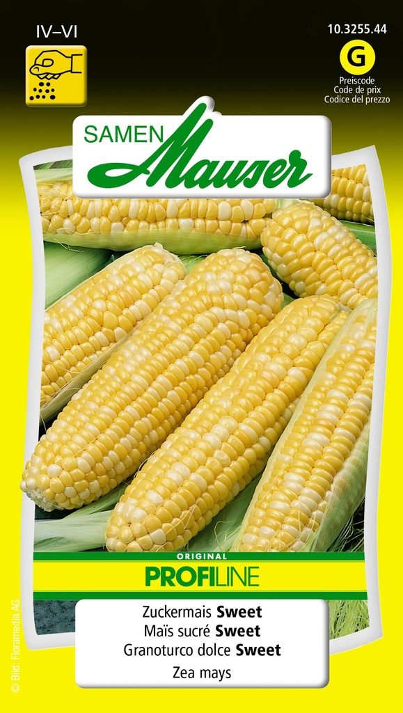 Maïs sucre Selma-sweet