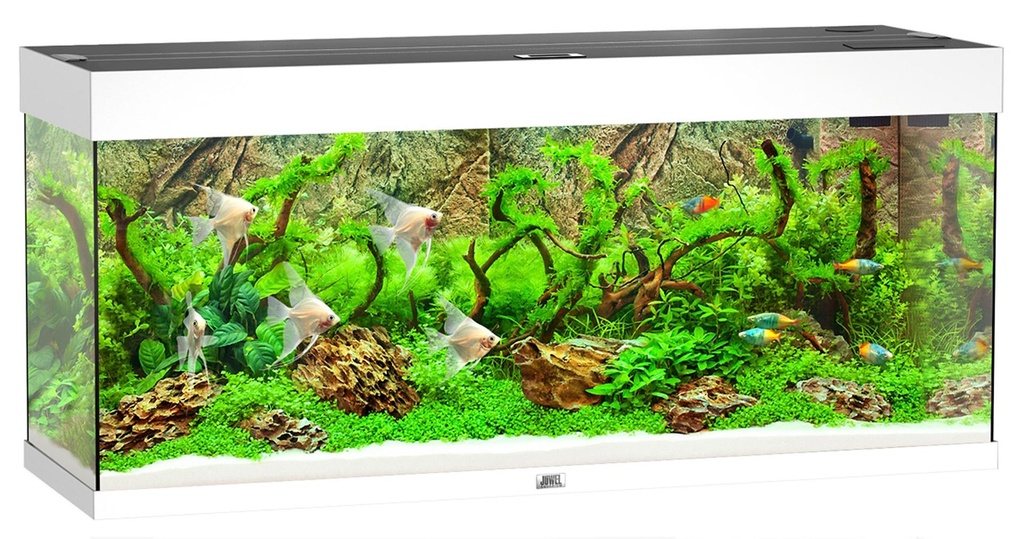 Juwel Aquarium Rio 240 blanc LED