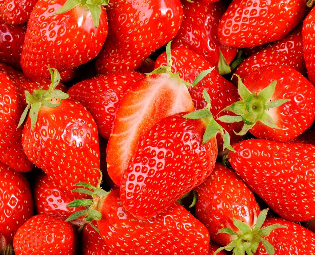 Fraisier 'La Gariguette'