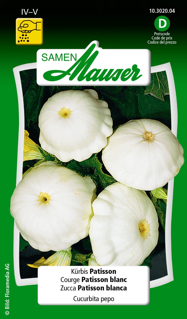 Courge Patisson blanc