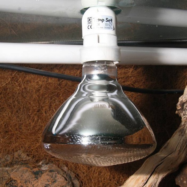 JBL Solar UV-Spot plus 80 W / E27