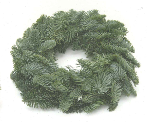 Couronne de sapin nobilis