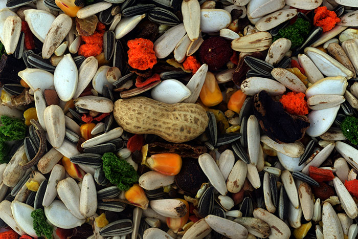 Mél. pour perroquets 4 kg PA