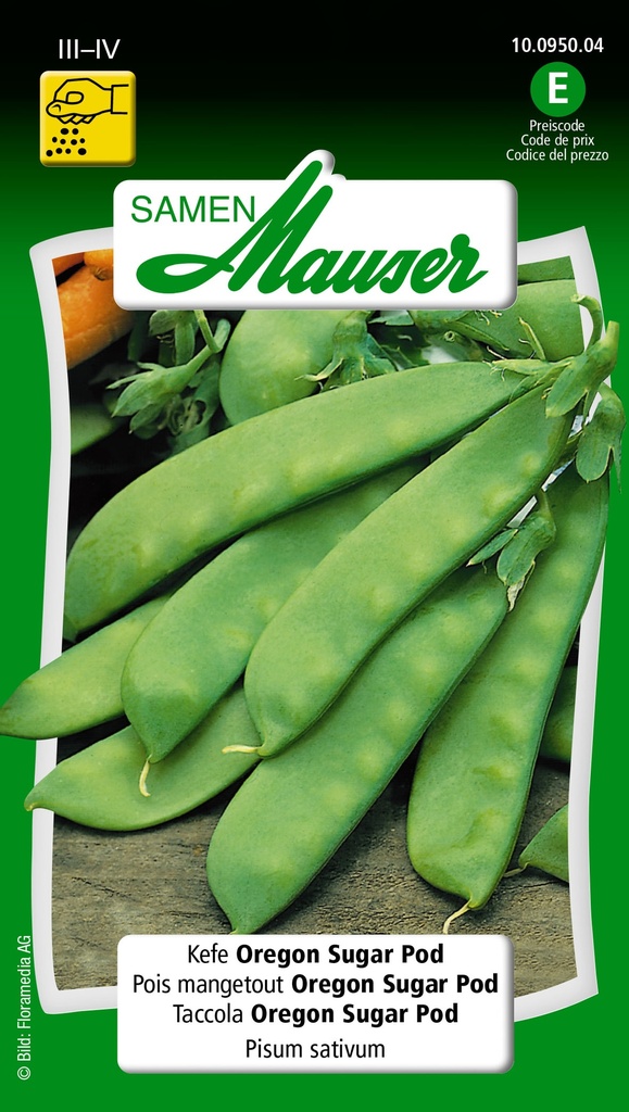 Pois-mangetout Oregon Sugar