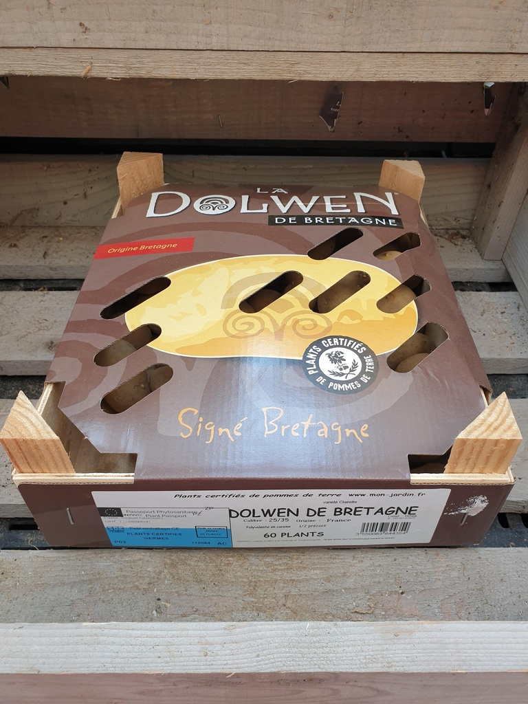 DOLWEN DE BRETAGNE F 25/35 60PL