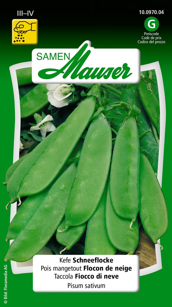 Pois-mangetout Flocon de neige
