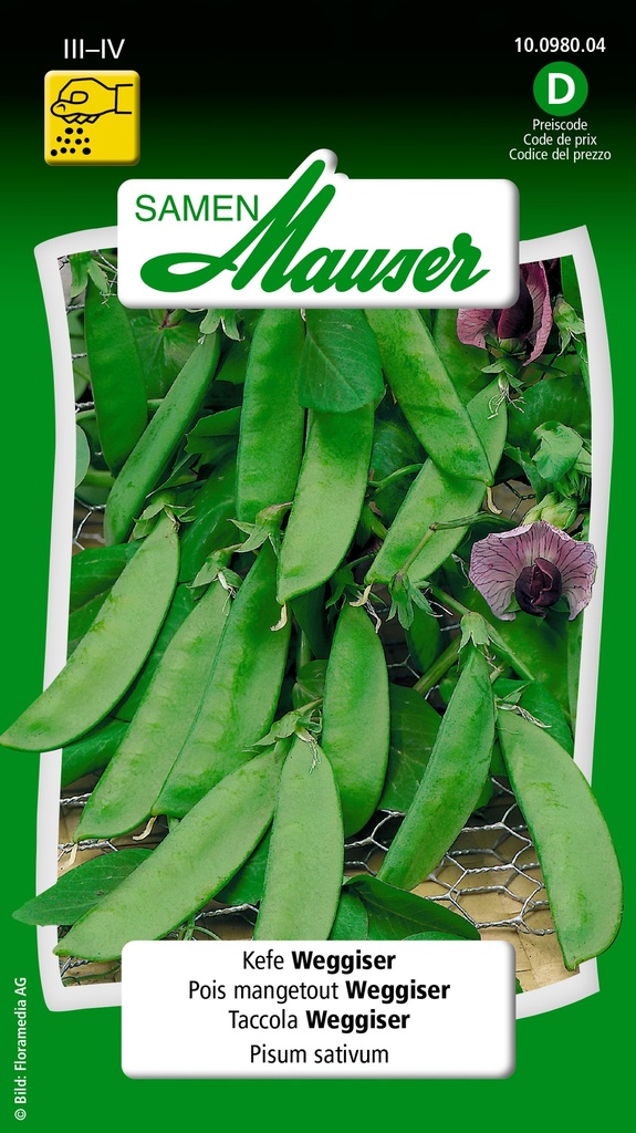 Pois-mangetout de Weggis