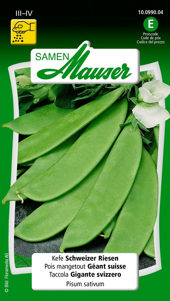 Pois-mangetout géant suisse