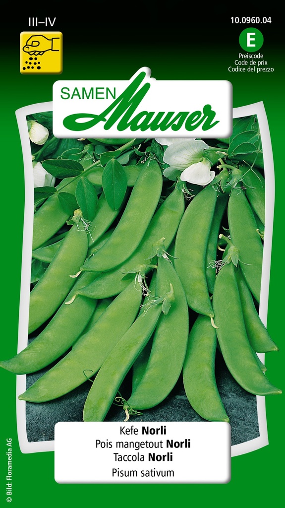 Pois-mangetout Norli