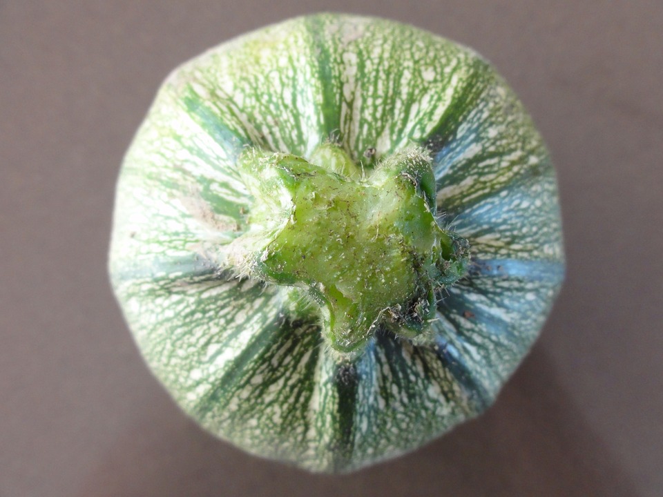 Courgette 'Ice Ball'