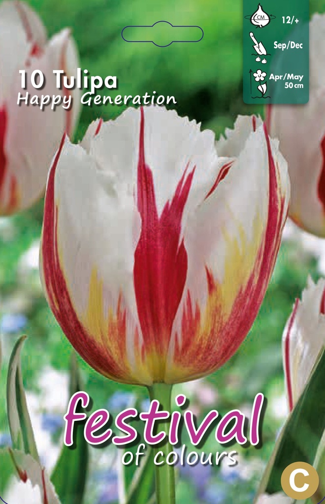 Tulipes Happy Generation'