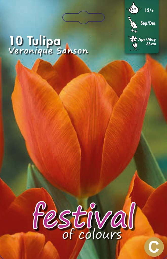 Tulipes 'Veronique Sanson'