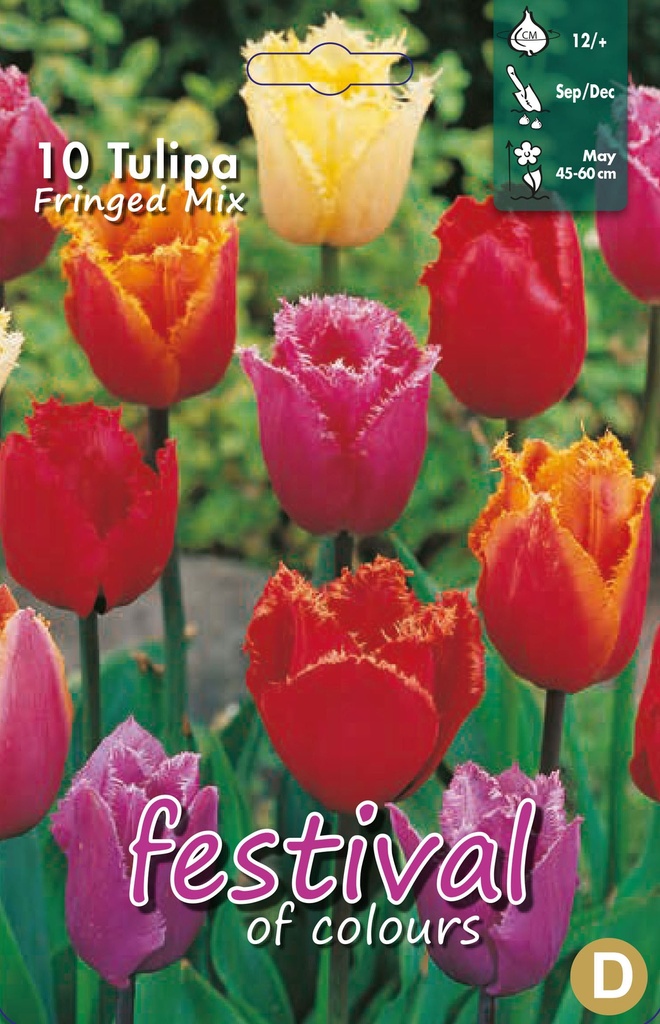 Tulipes frangé Melange