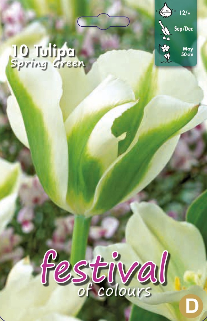 Tulipes 'Spring Green'