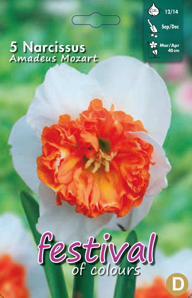 Narcissus 'Amadeus Mozart'