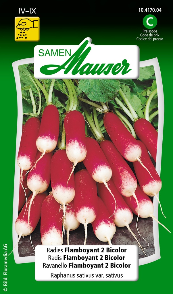 Radis Flamboyant 2 Bicolor