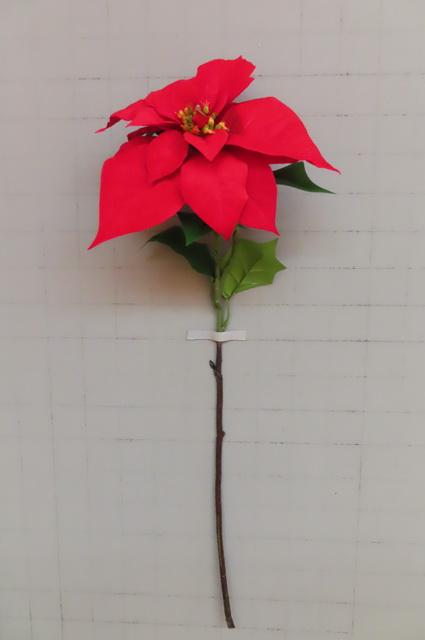 Poinsettia rouge en branche