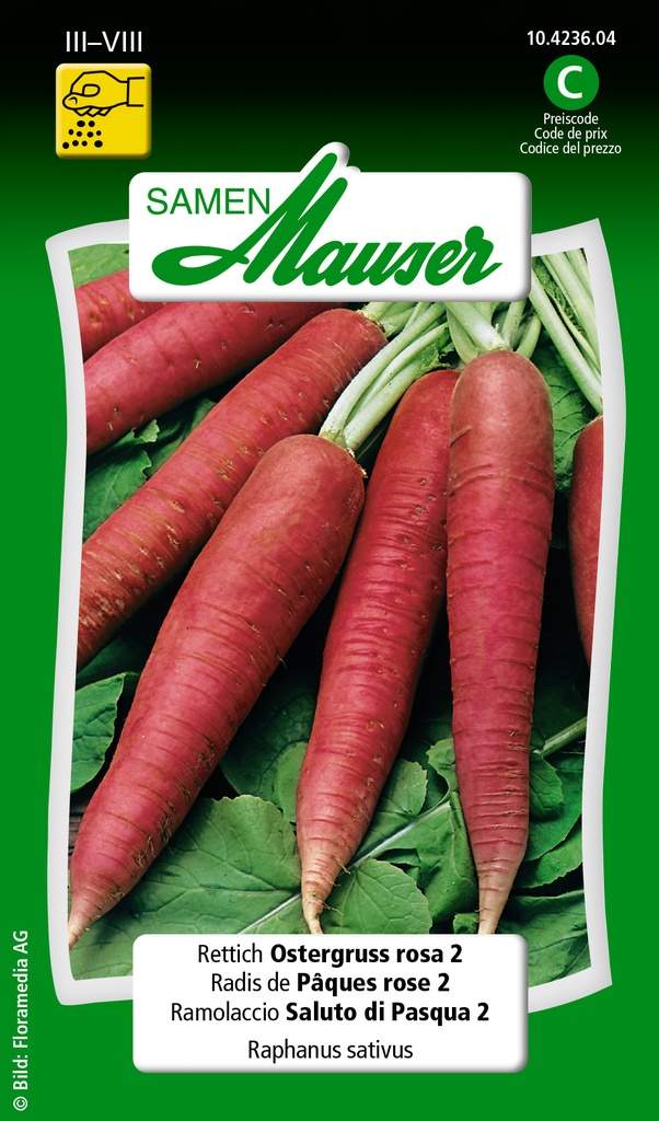 Radis de Pâques rose