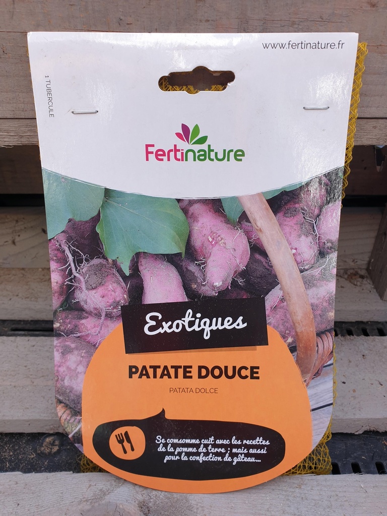 PATATE DOUCE 1PL