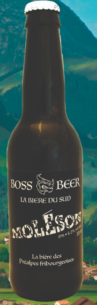 Bière India Pale Ale MOLESON 33cl