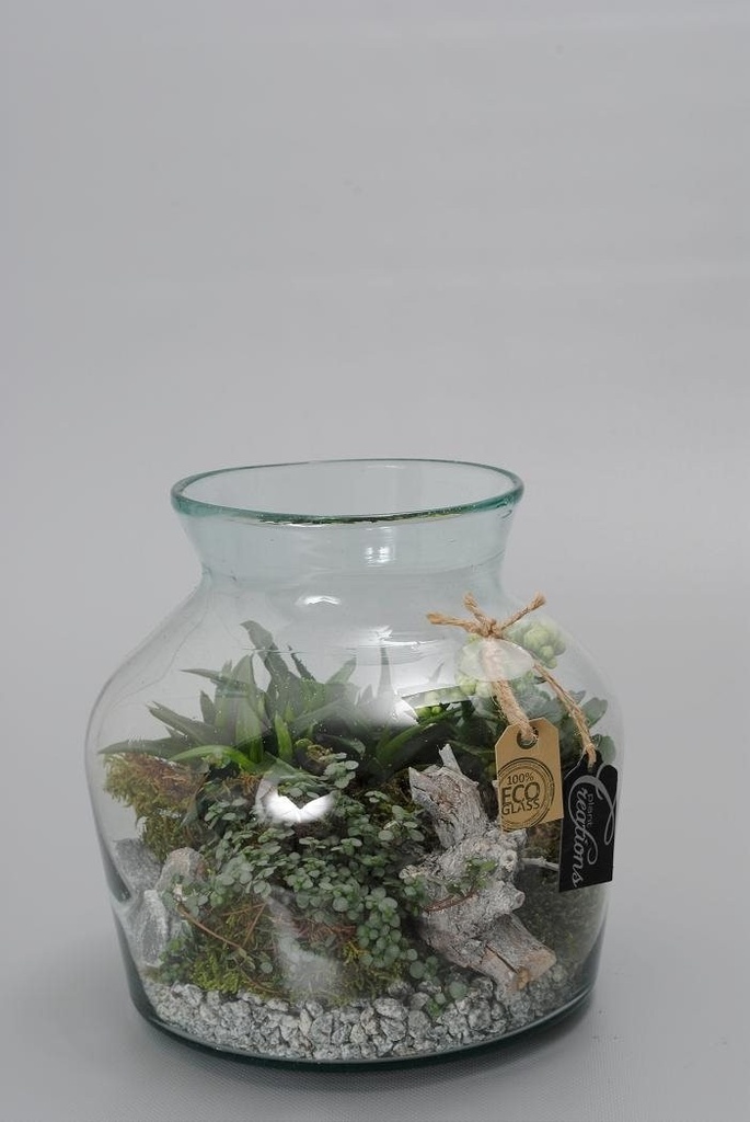 Arrangement Richesse