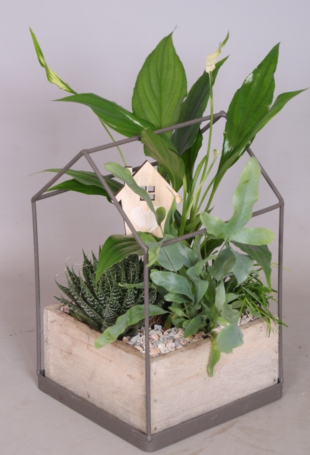 Arrangement