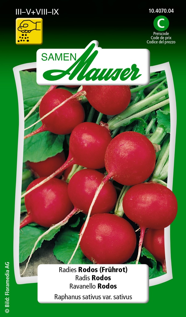 Radis rodos (hâtif)